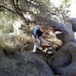 Meet your Posher, Harrison